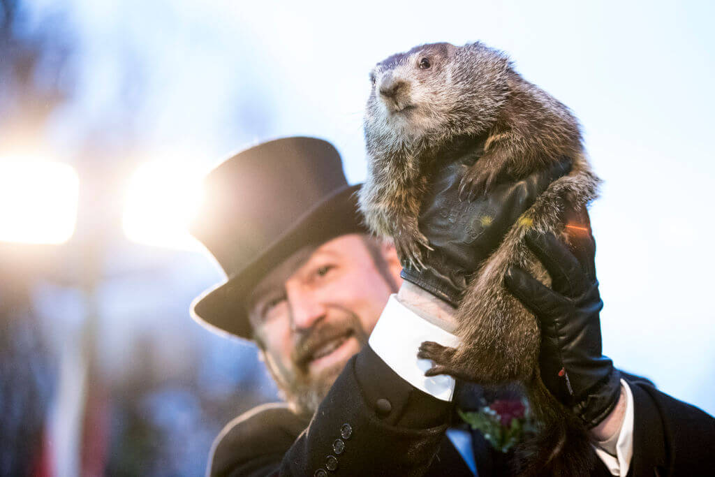 Punxsutawney Phil is held up for the crowd to see during the ceremonies for Groundhog day on February 2, 2018 in Punxsutawney, Pennsylvania.