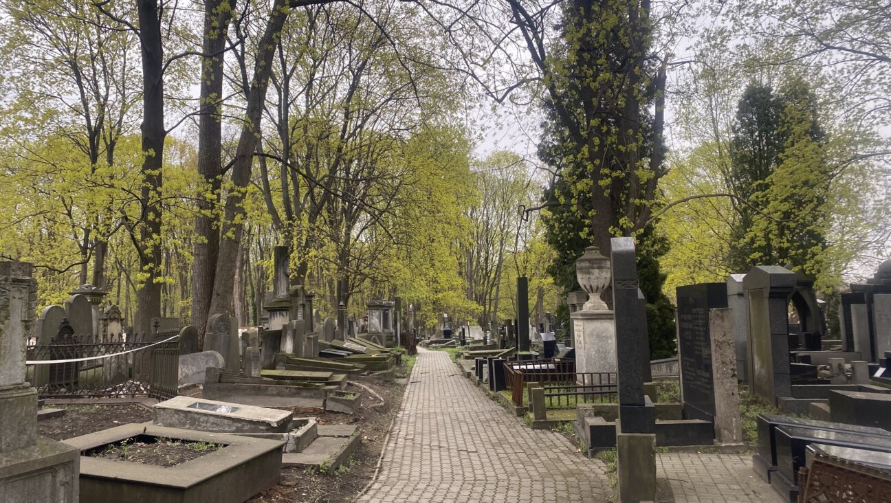 The Jewish Cemetery of Warsaw, April 2022