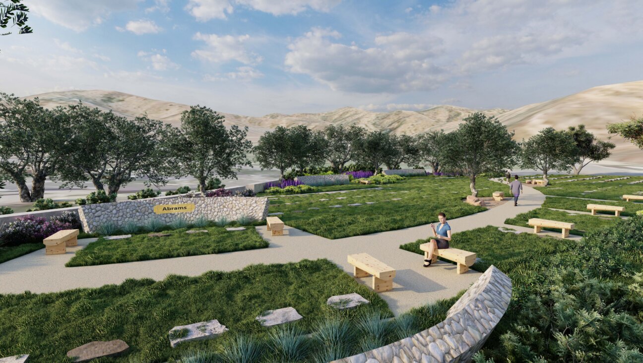A rendering of the planned natural burial area at Sinai Memorial Park in Simi Valley, which will feature drought-tolerant landscaping.