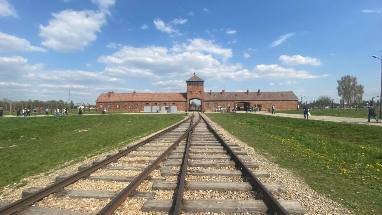 The train tracks leading to Birkenau, the extermination camp at Auschwitz. 