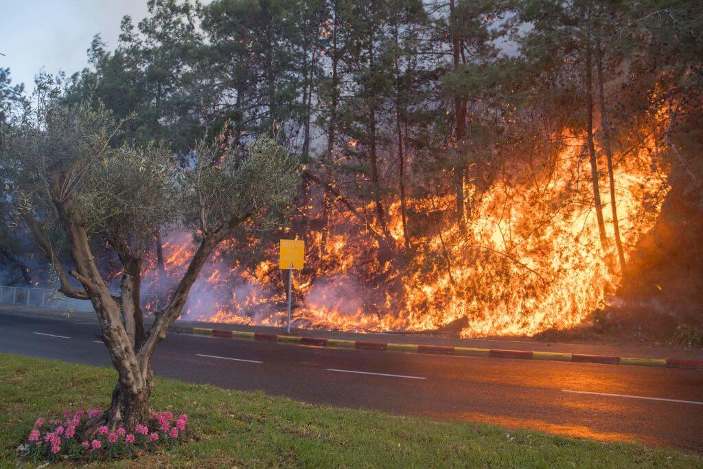 A raging brush fire in Haifa in 2016.