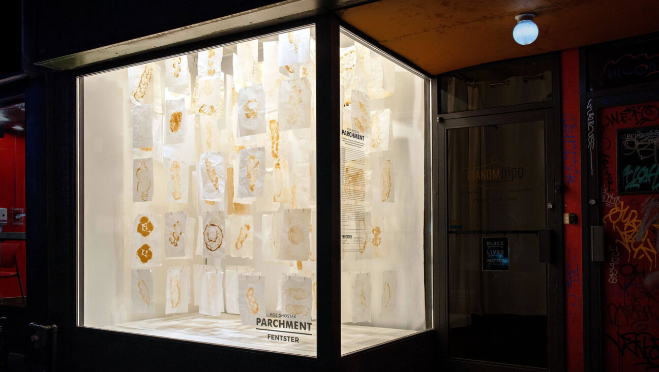 “Parchment” installed at Fentster, viewable by passers-by. Tauben said the exhibit causes a lot of double-takes.