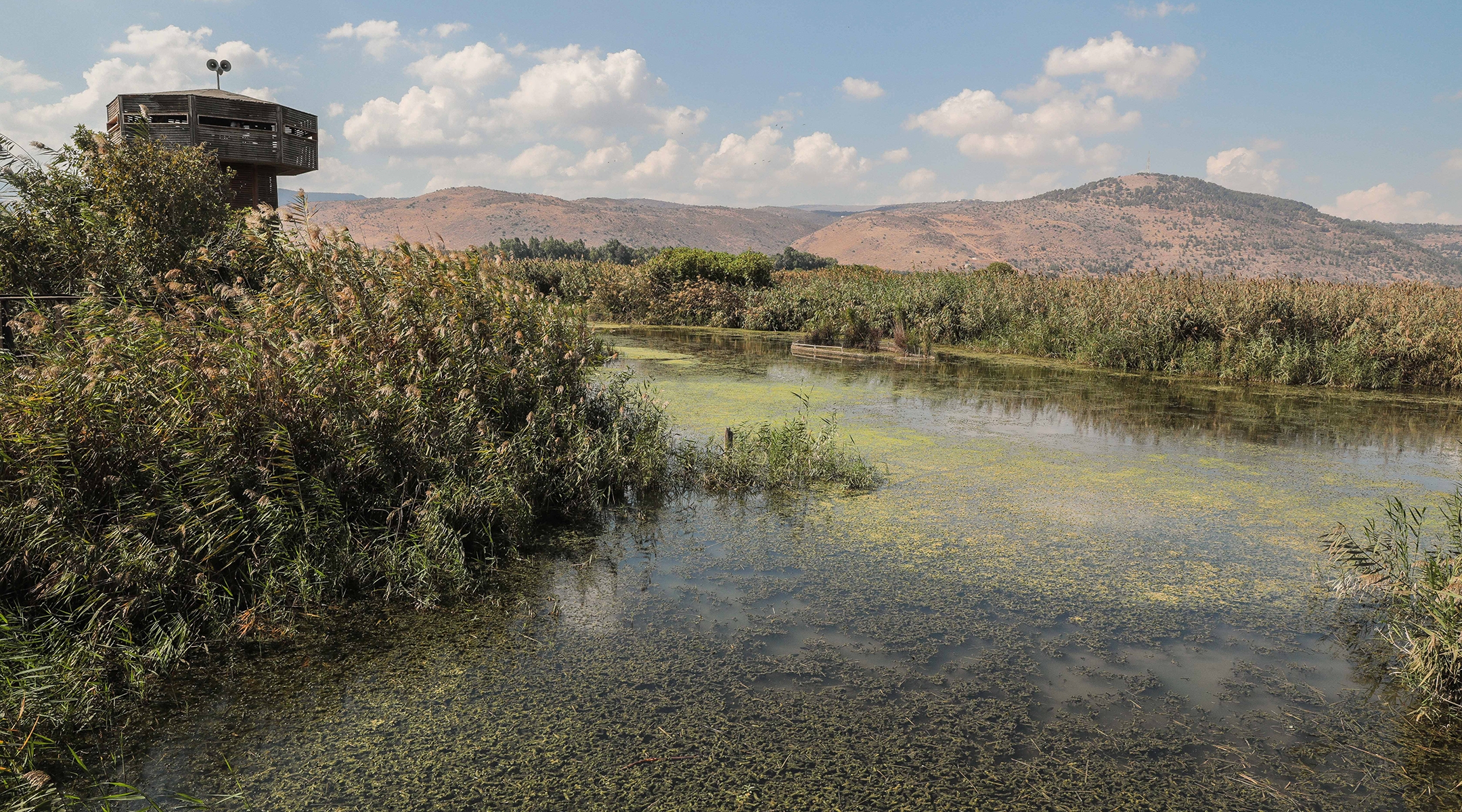 Clouds pass overhead of the Hula Nature Reserve in northern Israel, Oct. 23, 2021. (Yossi Zamir/Flash90)