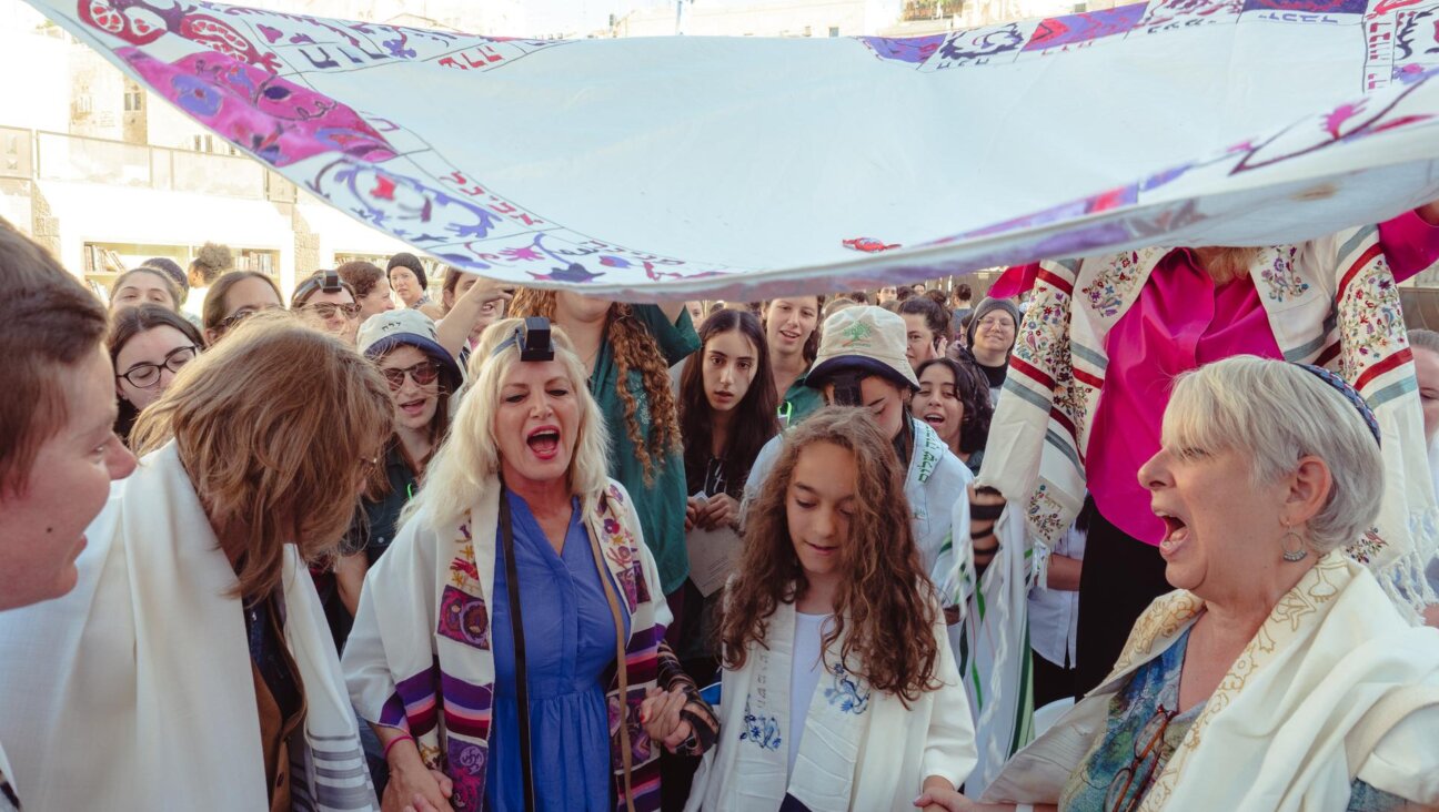 Tal Kfir Schurr