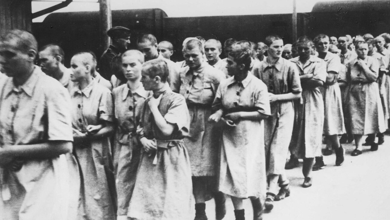 Women at Auschwitz, May 1944.