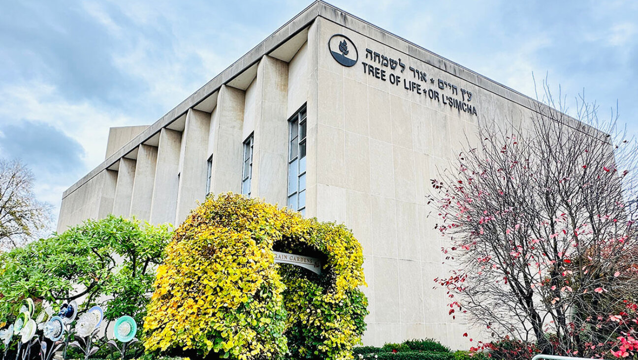 The Tree of Life synagogue photographed four years after the tragic event.