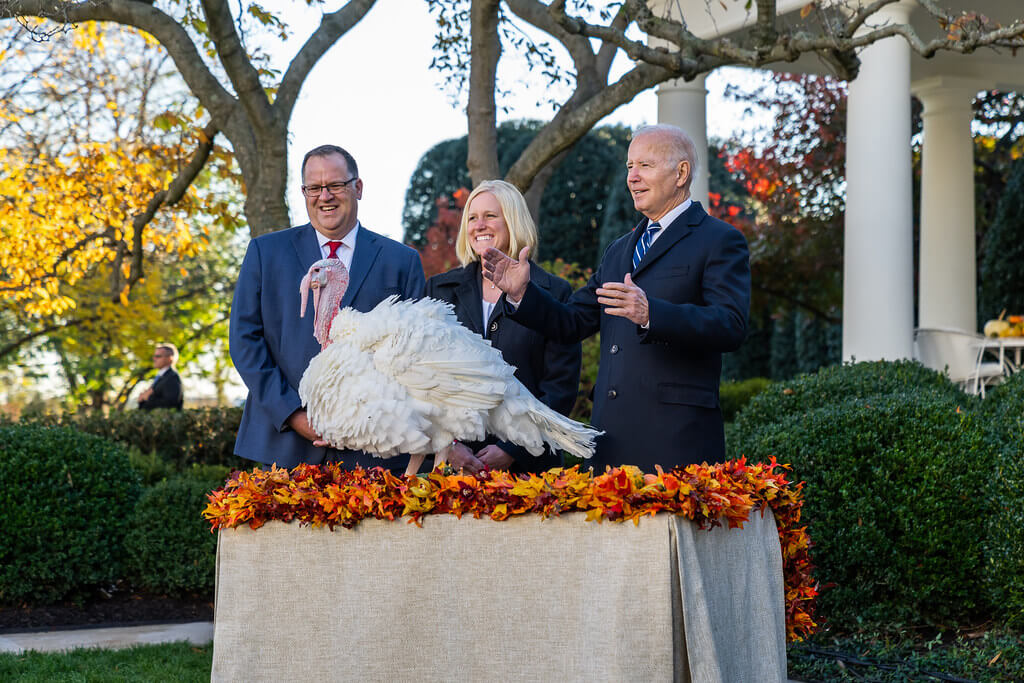 President Biden pardoning a turkey before Thanksgiving in 2021.