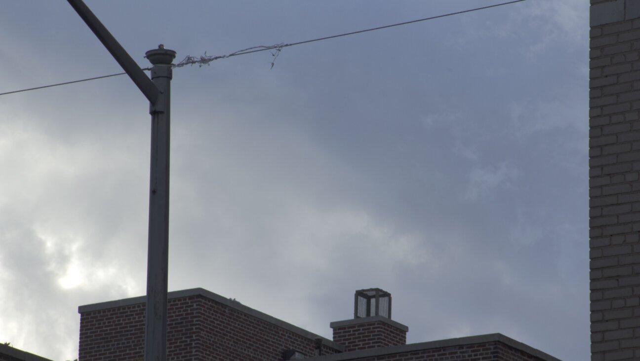 A photograph of an eruv by Margaret Olin shows just one of many ways a neighborhood can be visibly Jewish.