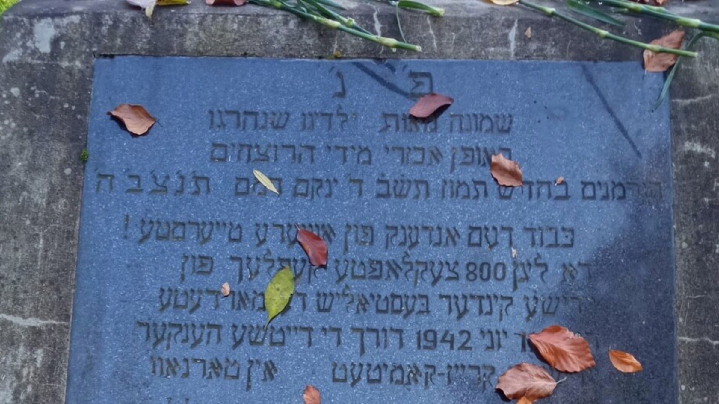 A memorial plaque in the forest outside of Tarnow where 800 Jewish children from the Jewish orphanage in Tarnow were murdered in June 1942

