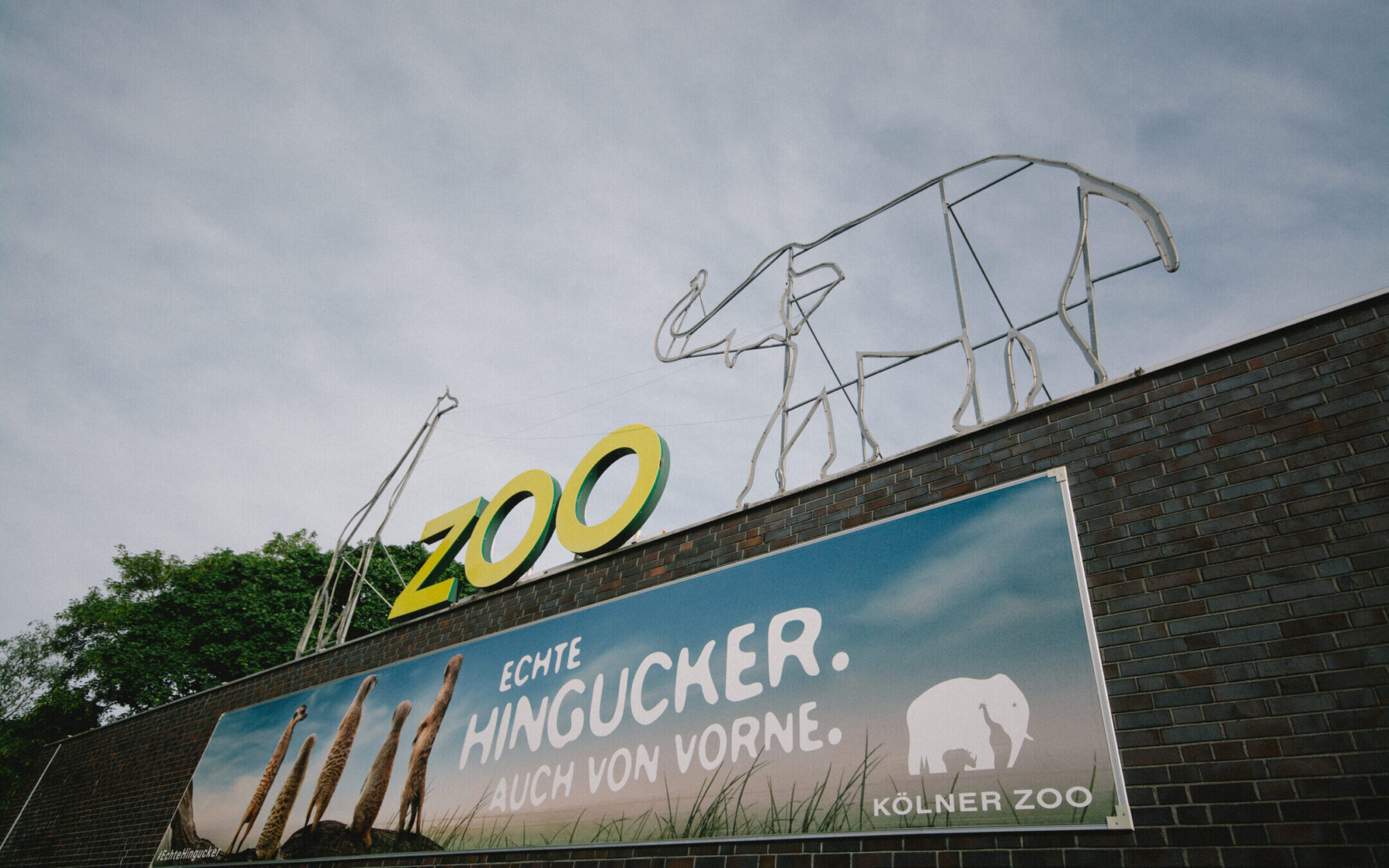 The Cologne Zoo logo is seen from the entrance. (Ying Tang/NurPhoto via Getty Images)