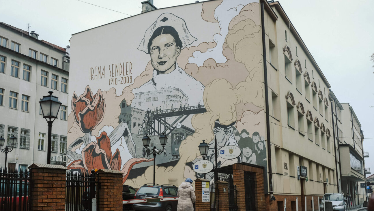 A mural of Irena Sendler, a Polish humanitarian who served in the Underground Resistance during the German occupation, in Rzeszow, Poland.