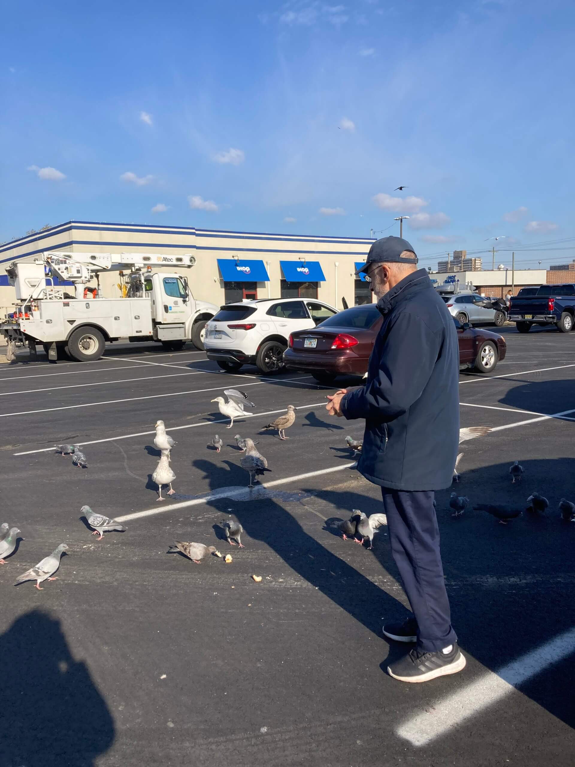 A man wearing navy blue clothes tosses dog food to pigeons and gulls in a parking lot.