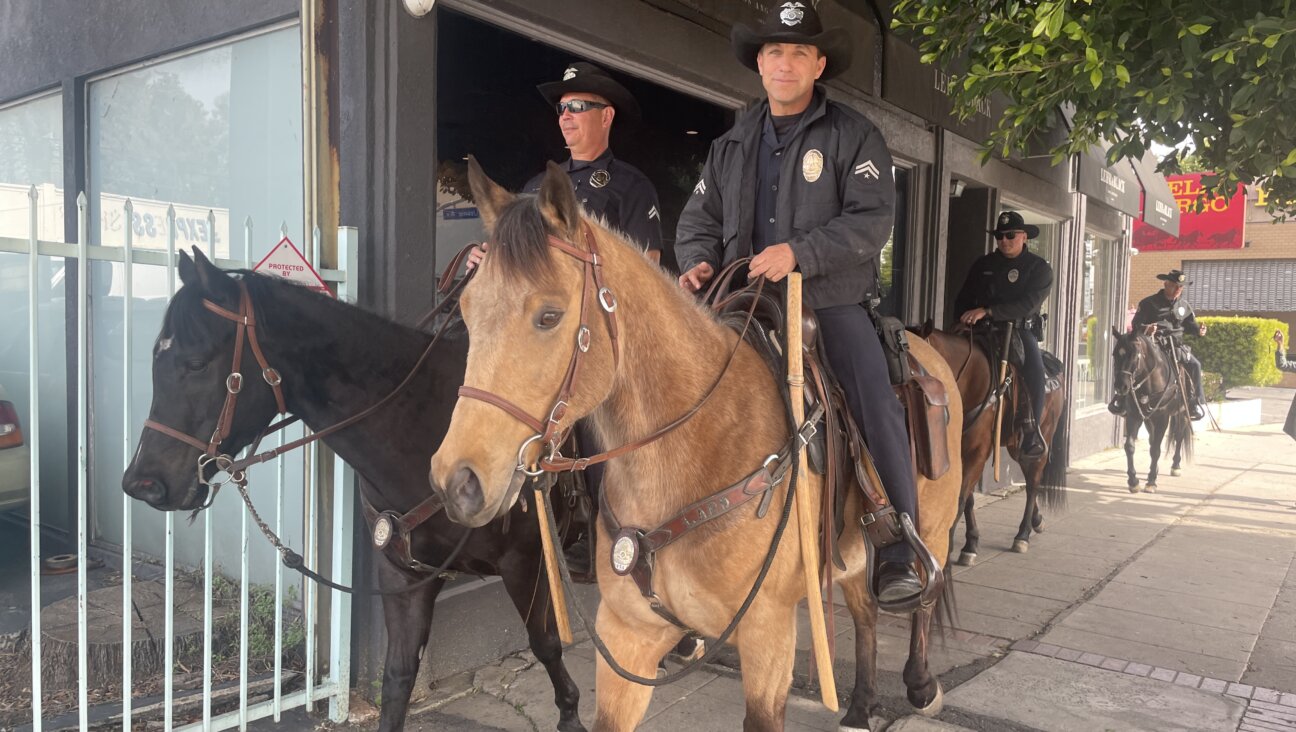 LAPD officers patrol on horseback in Pico-Robertson on Feb. 17.