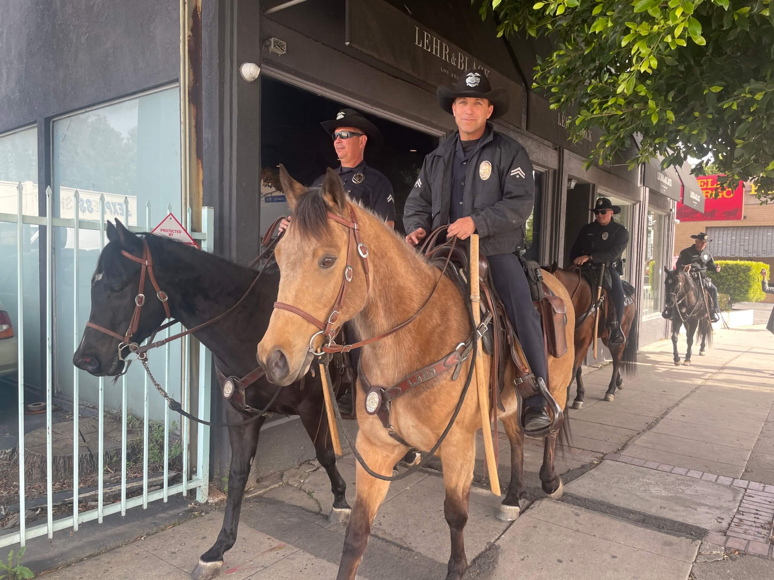 California Briefing Special report on the PicoRobertson shootings