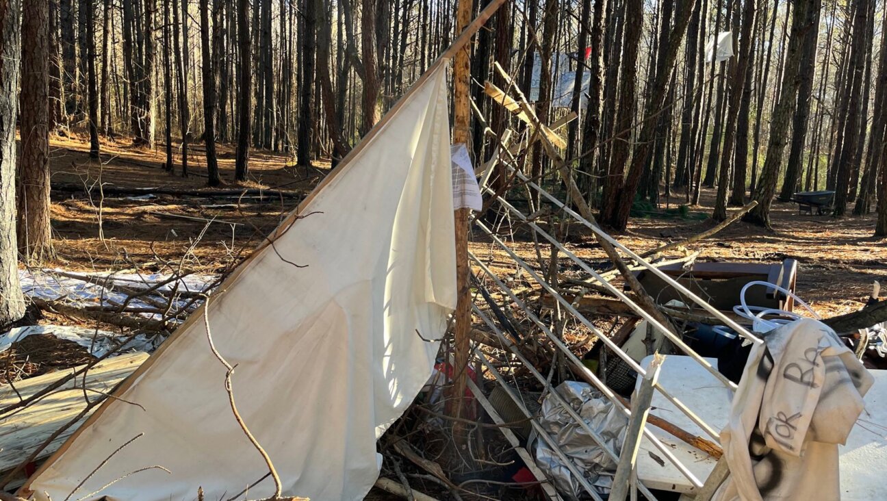 The remnants of the sukkah at the “No Cop City” protest in a forest in Atlanta, where Jewish activists are joining a fight against the construction of a police training facility. (Courtesy Fayer Atlanta)
