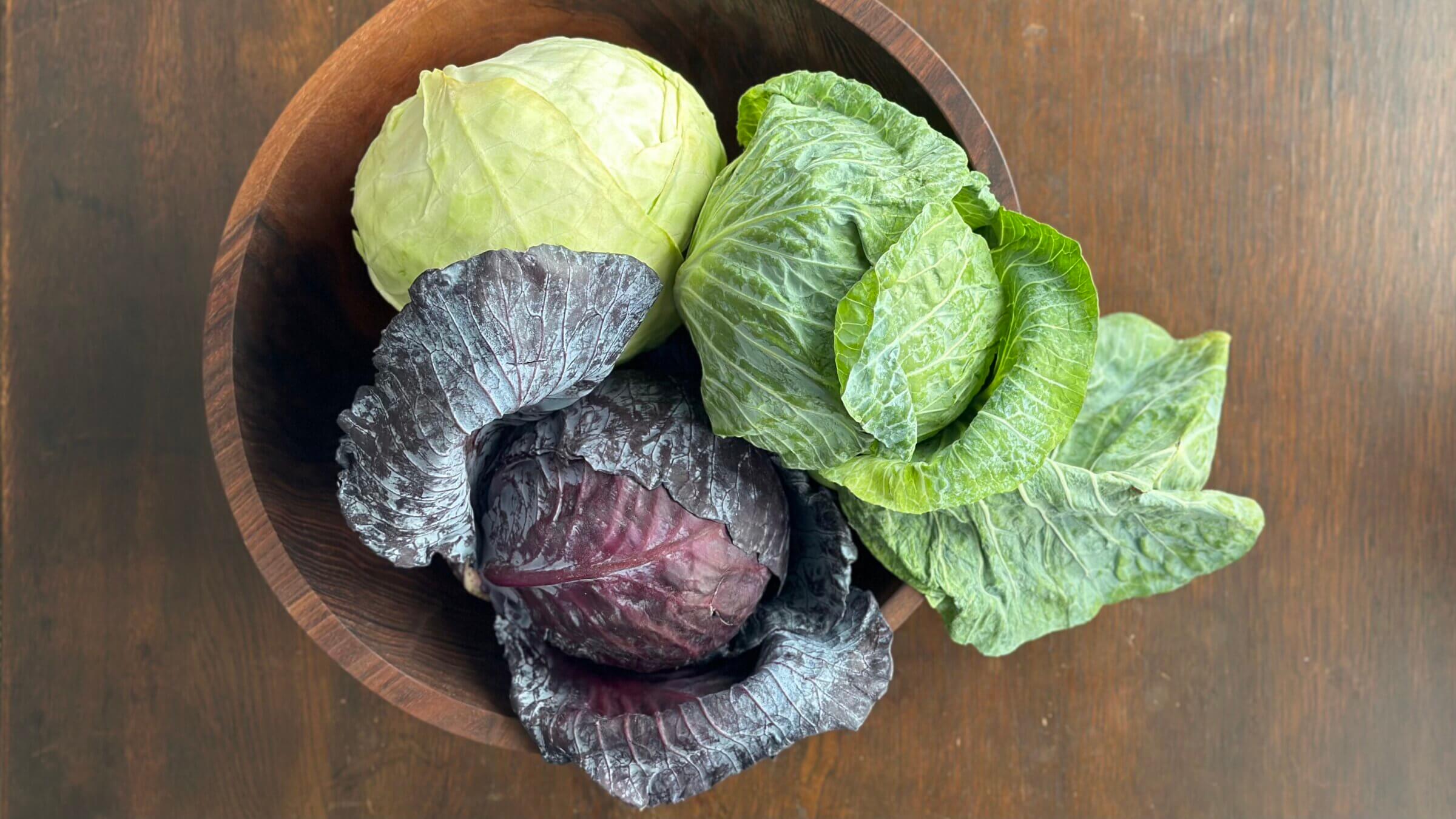 Cabbage is a member of the <i>Brassica</i> family, which includes such vegetables as broccoli, bok choy, kale, collards, turnips, arugula and Brussels sprouts.