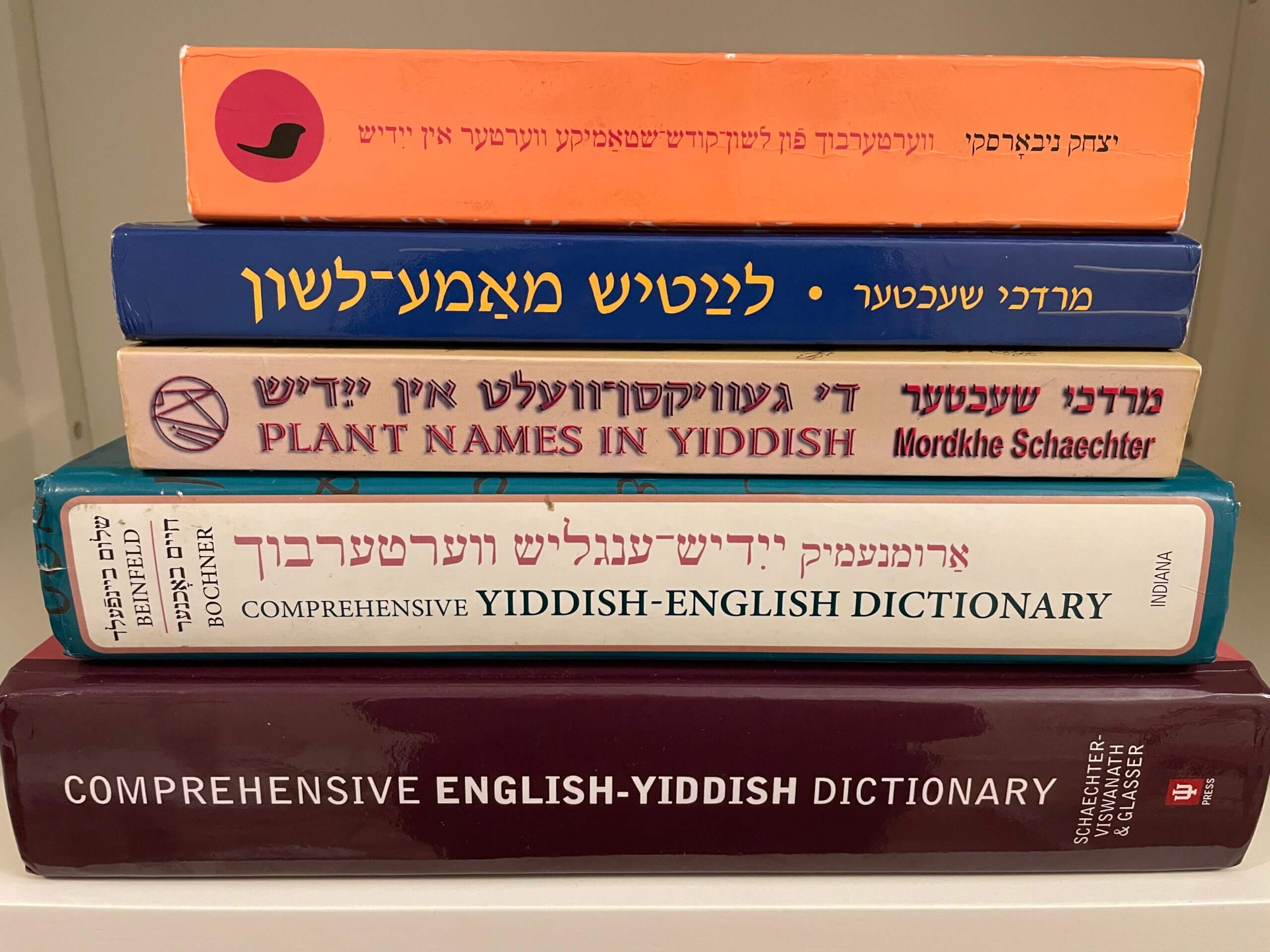 Foundation that helped launch Yiddish dictionaries and textbooks is