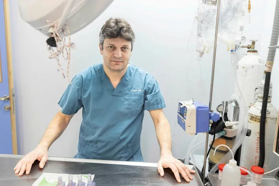 Veterinarian Dr. Yuval Samuel. The darts contain succinylcholine, which affects the nervous system and blocks receptors that control motor function. (Photo: Tomer Applebaum)