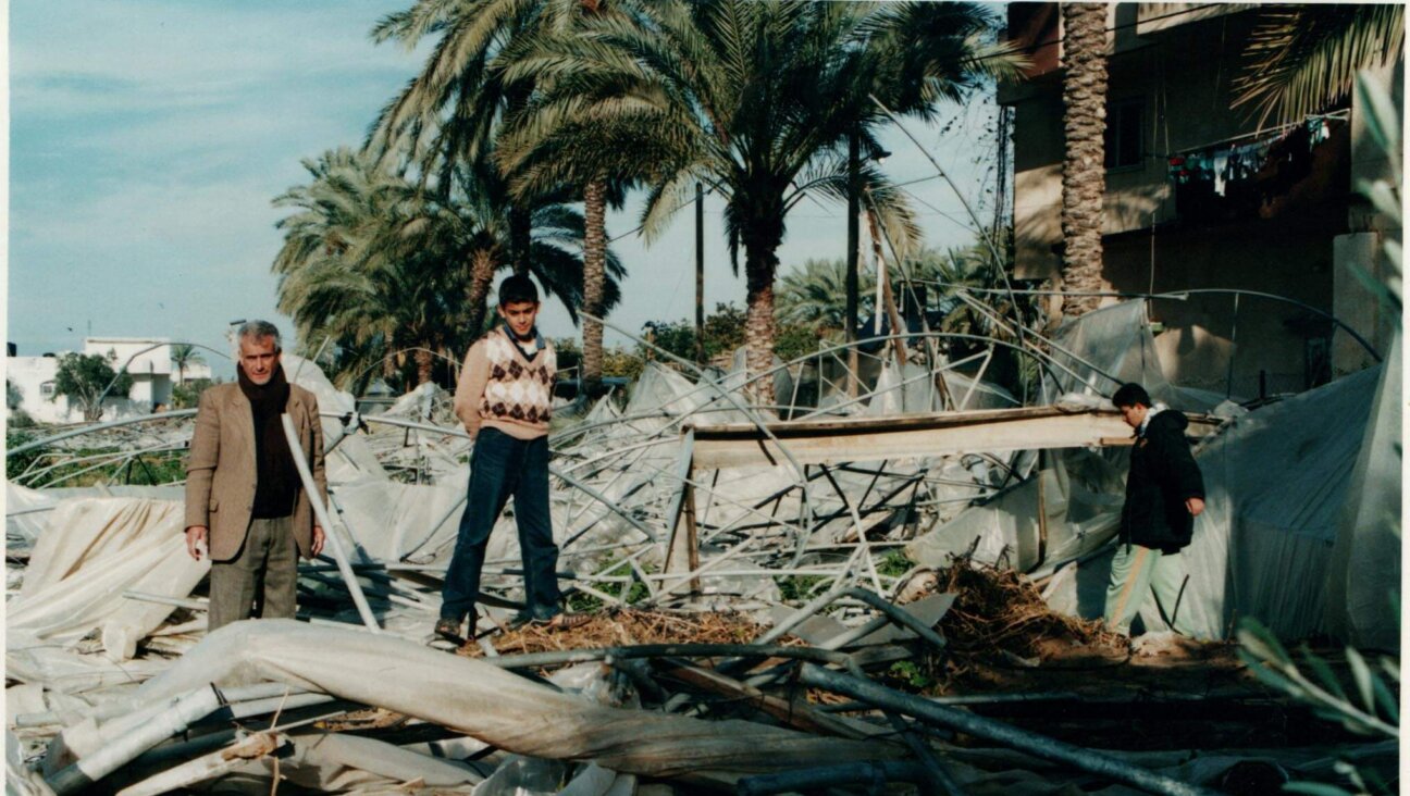 The author and his father, Khalil, at home in Gaza examining the destruction of their family's greenhouses by Israeli soldiers.