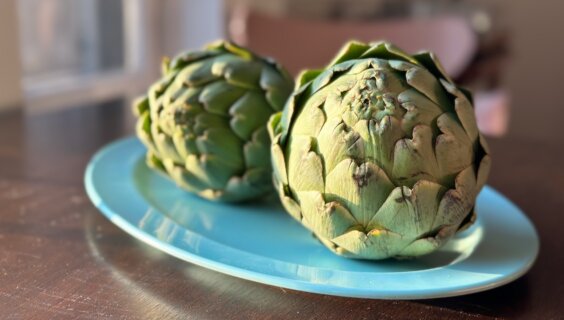 With its multiple layers of sage-green and sometimes purple-tinged triangular leaves forming a stately bud-like cone, the artichoke rewards the patient connoisseur.