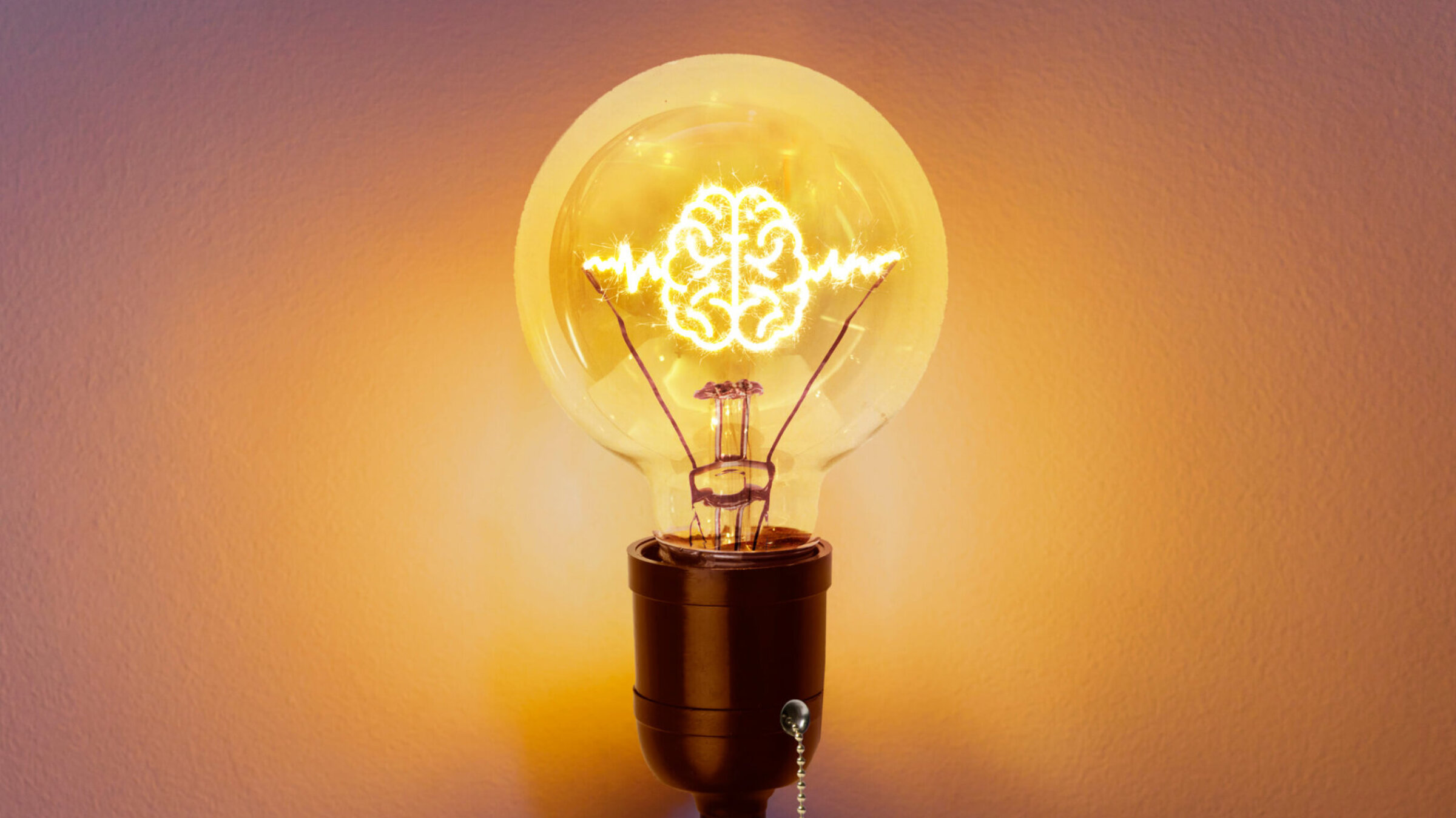 The lightbulb, often used as a symbol for a new idea, was invented by Thomas Edison. He was not Jewish.