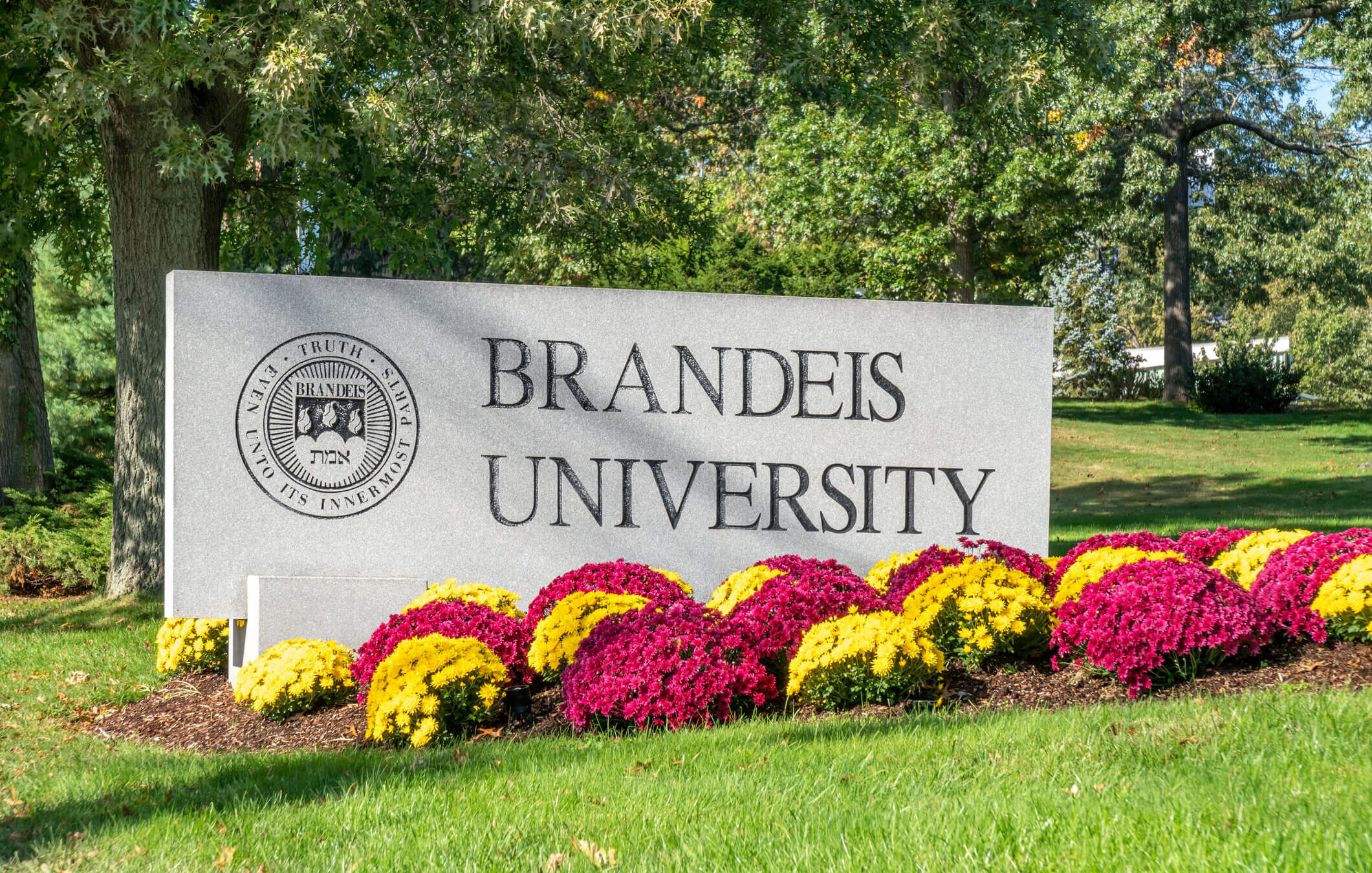 The Brandeis University campus in Waltham, Mass.