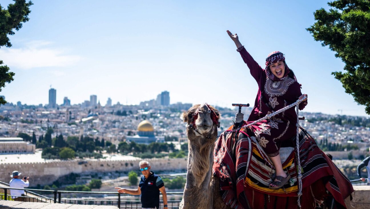A tourist poses for photos while riding a camel on the Mount of Olives overlooking the old city of Jerusalem on June 12, 2023. 