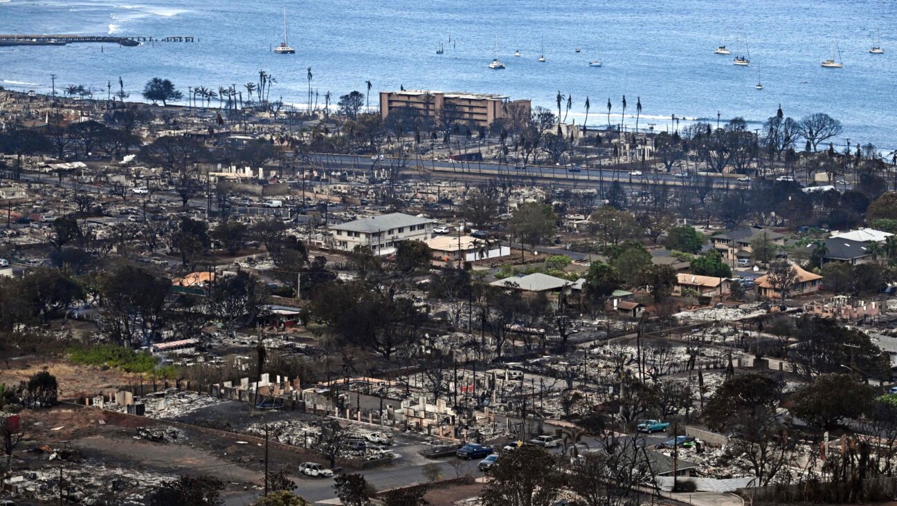 An aerial image shows destroyed homes and buildings burned to the ground in Lahaina in the aftermath of wildfires in western Maui, Hawaii, Aug. 10, 2023. (Patrick T. Fallon AFP via Getty Images)