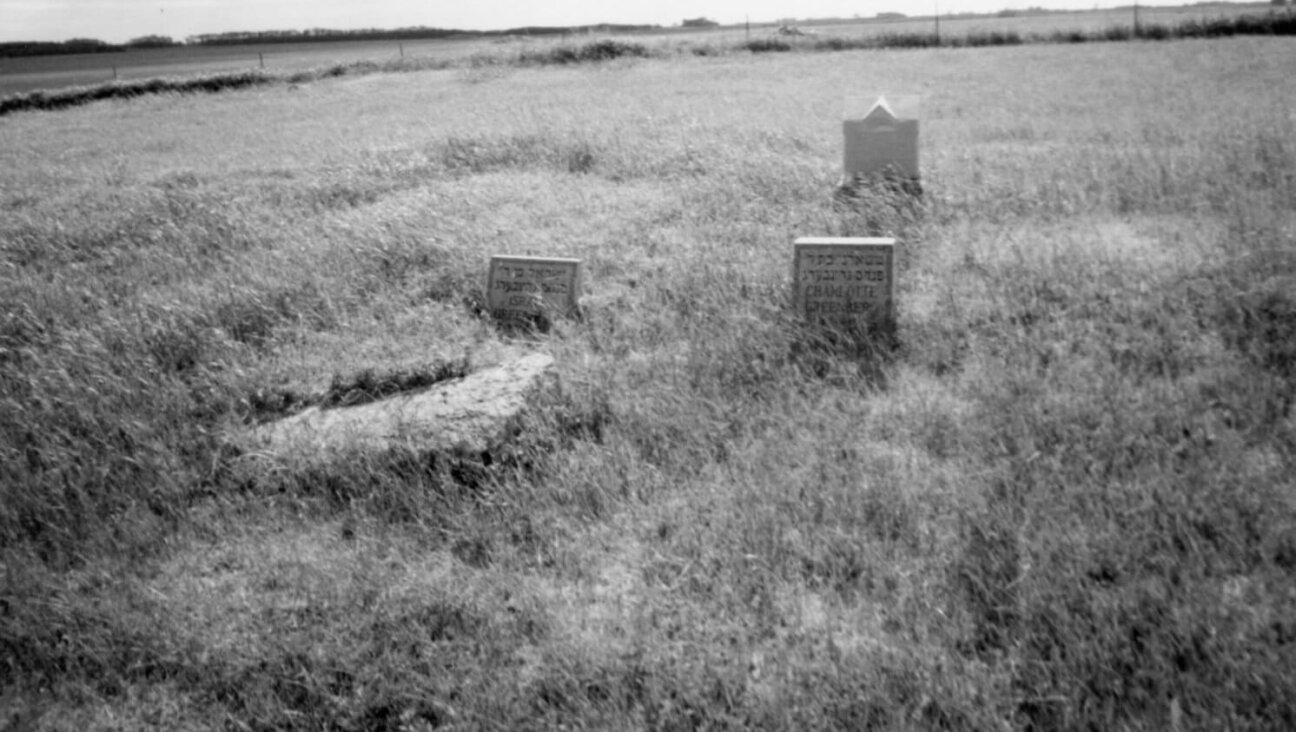 Jewish headstones in an abandoned graveyard in North Dakota. (Courtesy Joyce Greenberg)