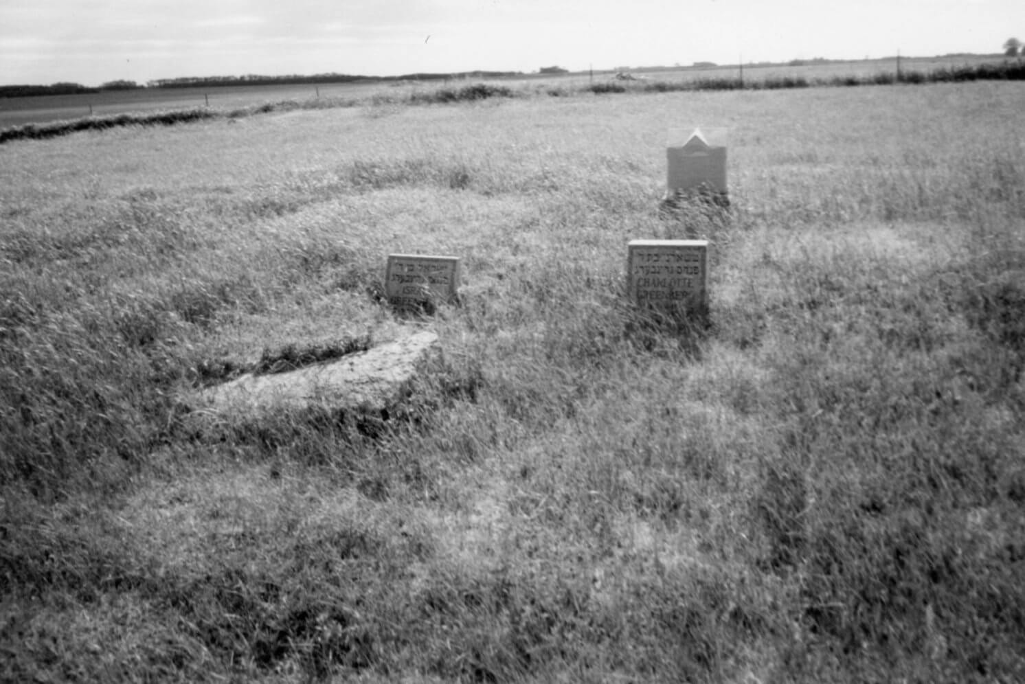 Jewish headstones in an abandoned graveyard in North Dakota. (Courtesy Joyce Greenberg)