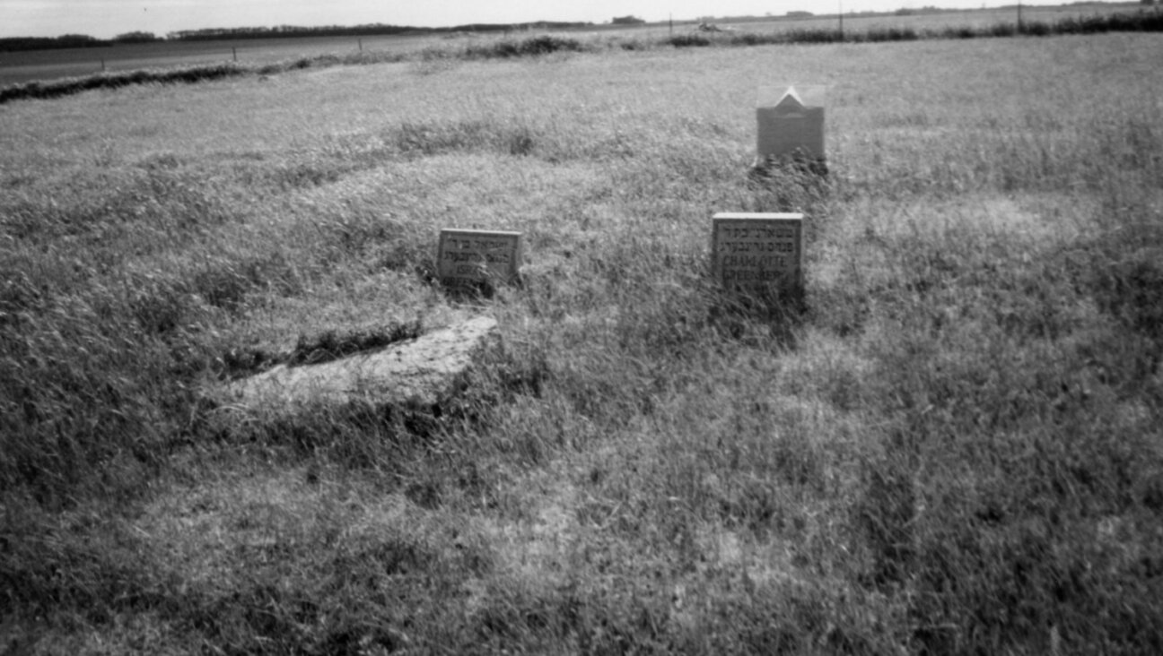 Jewish headstones in an abandoned graveyard in North Dakota.