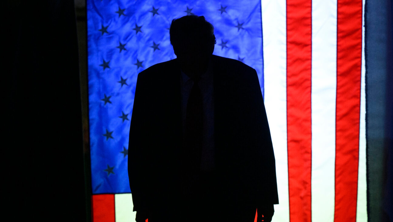 Donald Trump at a political rally in Erie, Pennsylvania.