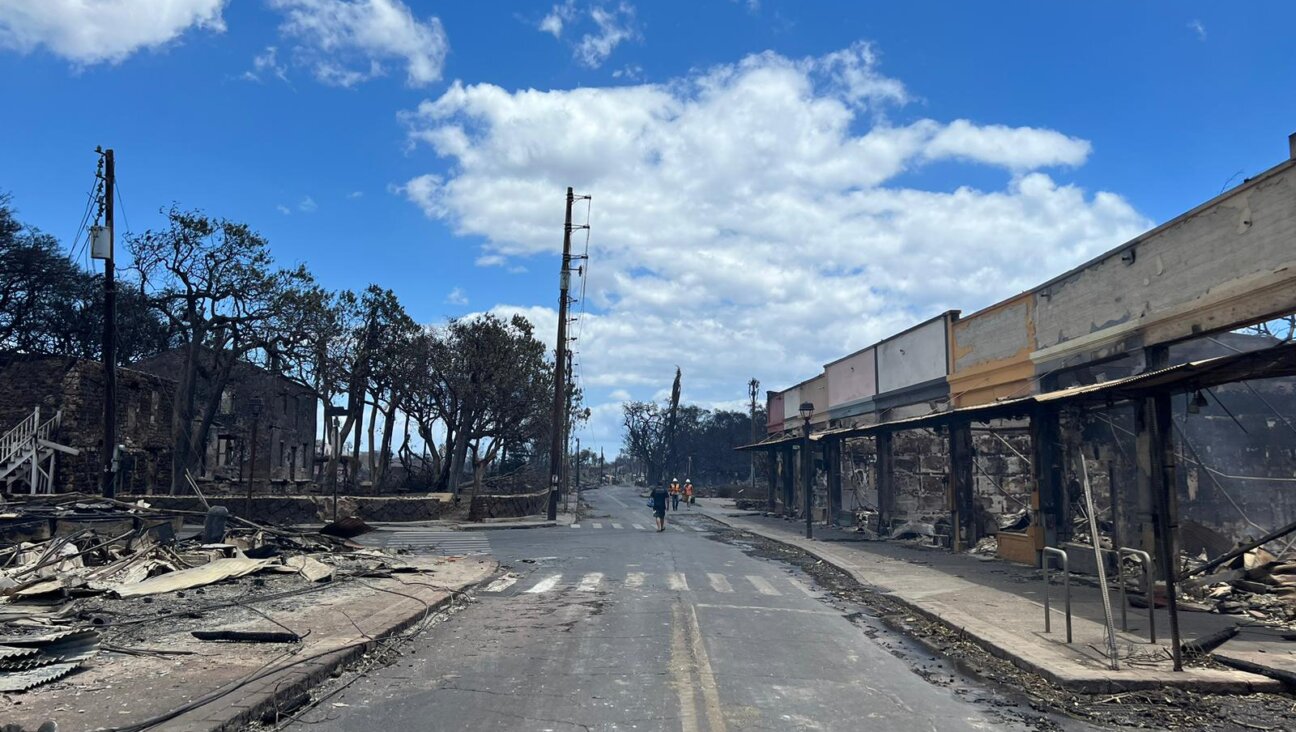 A photo by Rabbi Mendel Zirkind of the damage in Lahaina, Maui.