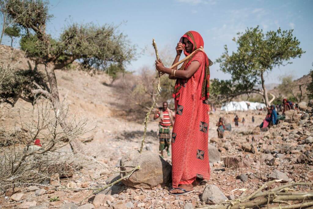 An internally displaced woman cuts wood in the makeshift camp where she is sheltered in the village of Erebti, Ethiopia, in the Afar region on June 09, 2022. 
