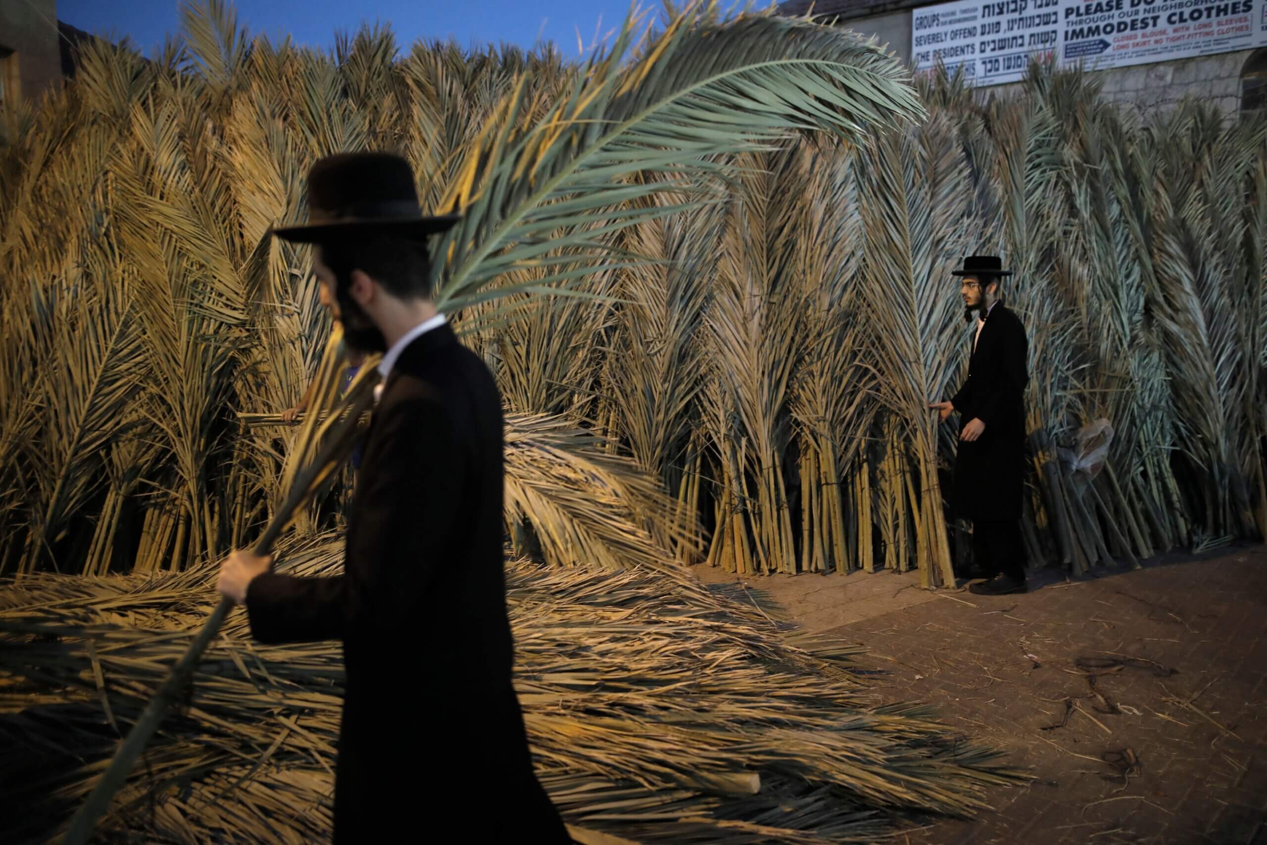 Why Sukkot is the best Jewish holiday The Forward