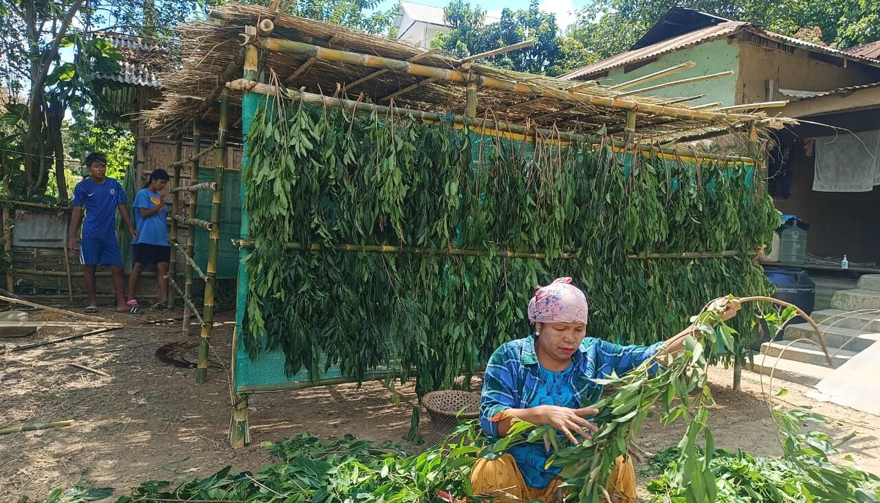 A member of the Bnei Menashe community in northeastern India works to construct a temporary structure used in celebrating Sukkot. (Courtesy Shavei Israel)