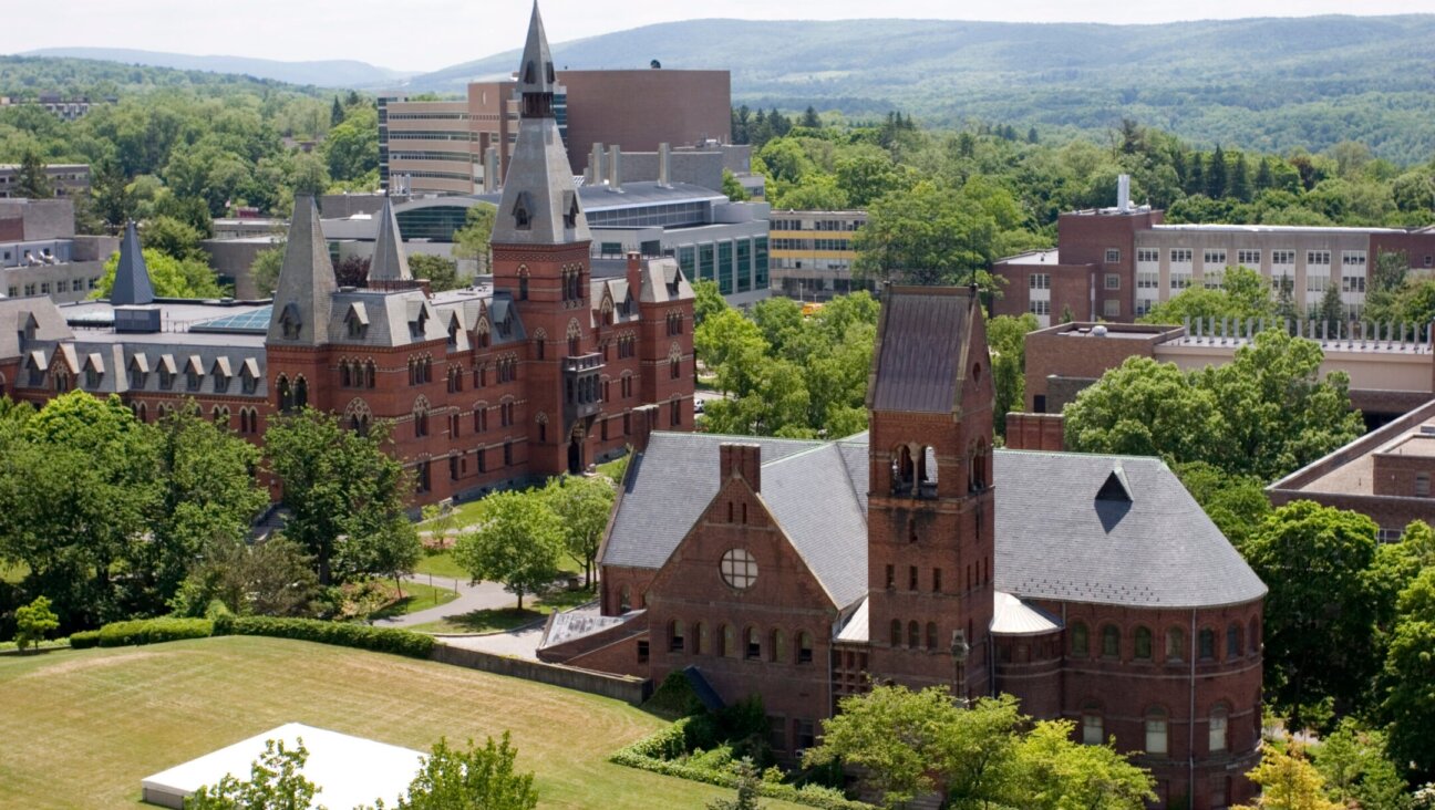 Cornell University buildings viewed from McGraw Tower. (Getty Images)