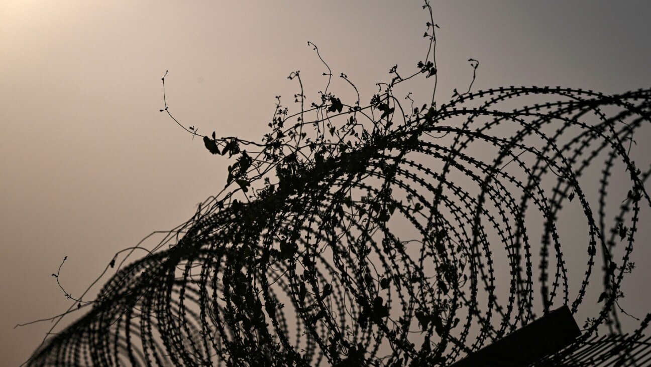Ivy grows on barbed wire surrounding Kibutz Beeri near the border with Gaza. 
