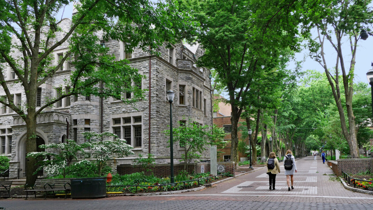 The University of Pennsylvania's Locust Walk in 2019.