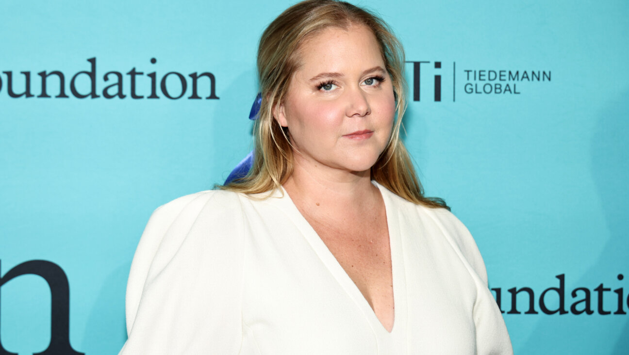 Amy Schumer's social media has been a wall of support for Israel.