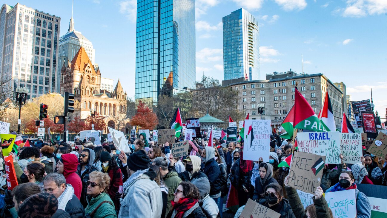 Demonstrators rally in support of Palestinians and against Israel in Boston, Massachusetts, on Nov. 12, 2023