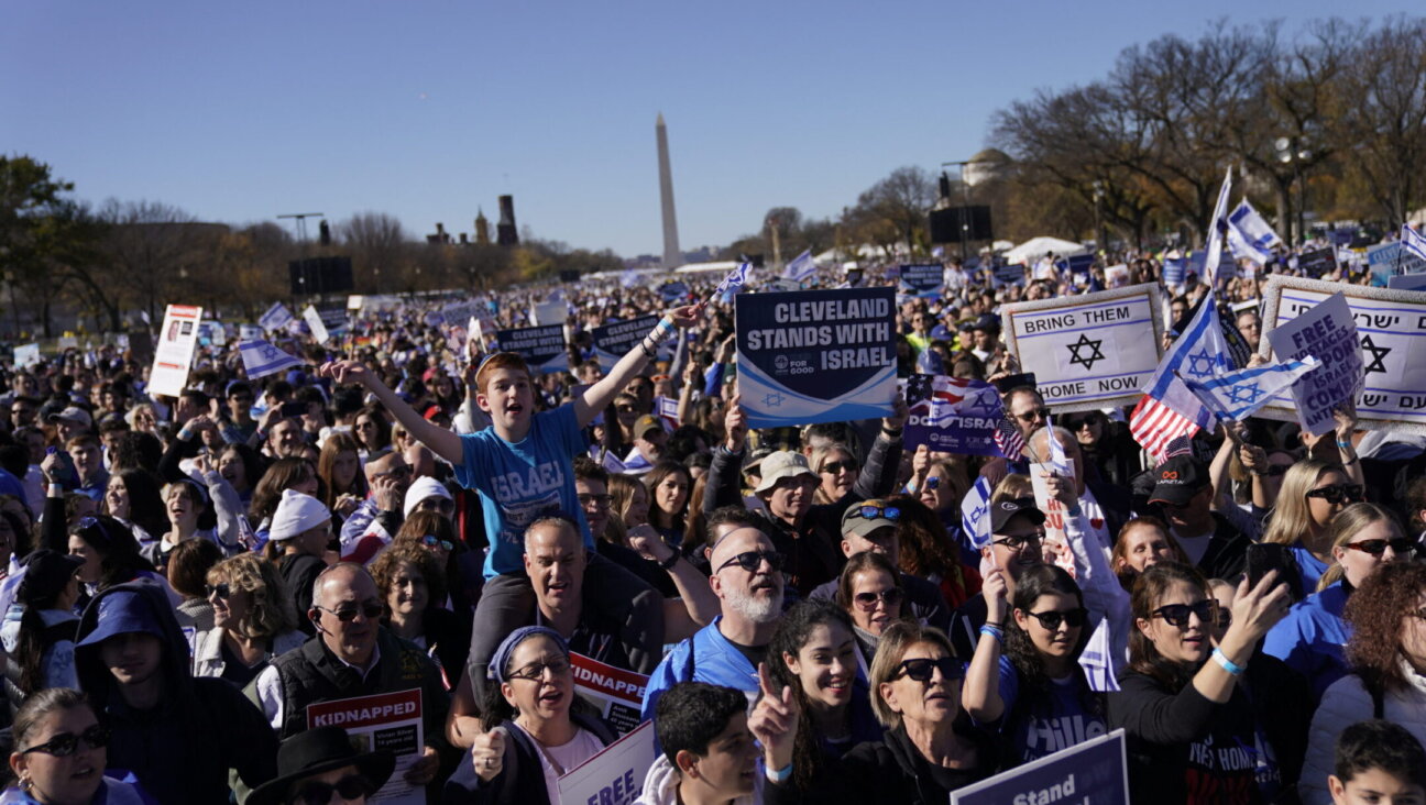 Demonstrators in support of Israel gather to denounce antisemitism and call for the release of Israeli hostages, on the National Mall in Washington, DC, Nov. 14, 2023. ((Stefani Reynolds / AFP via Getty Images)