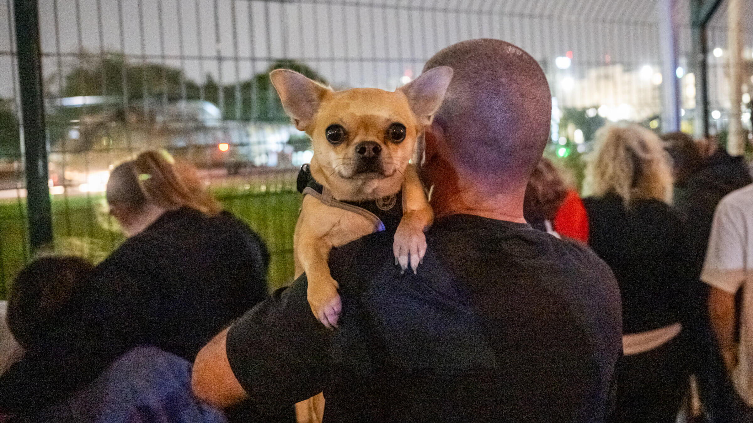 A person holding a dog watches as a helicopter with released Israeli hostages lands at the Schneider Medical Center.