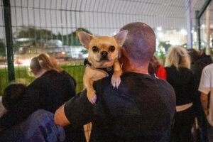 A person holding a dog watches as a helicopter with released Israeli hostages lands at the Schneider Medical Center.