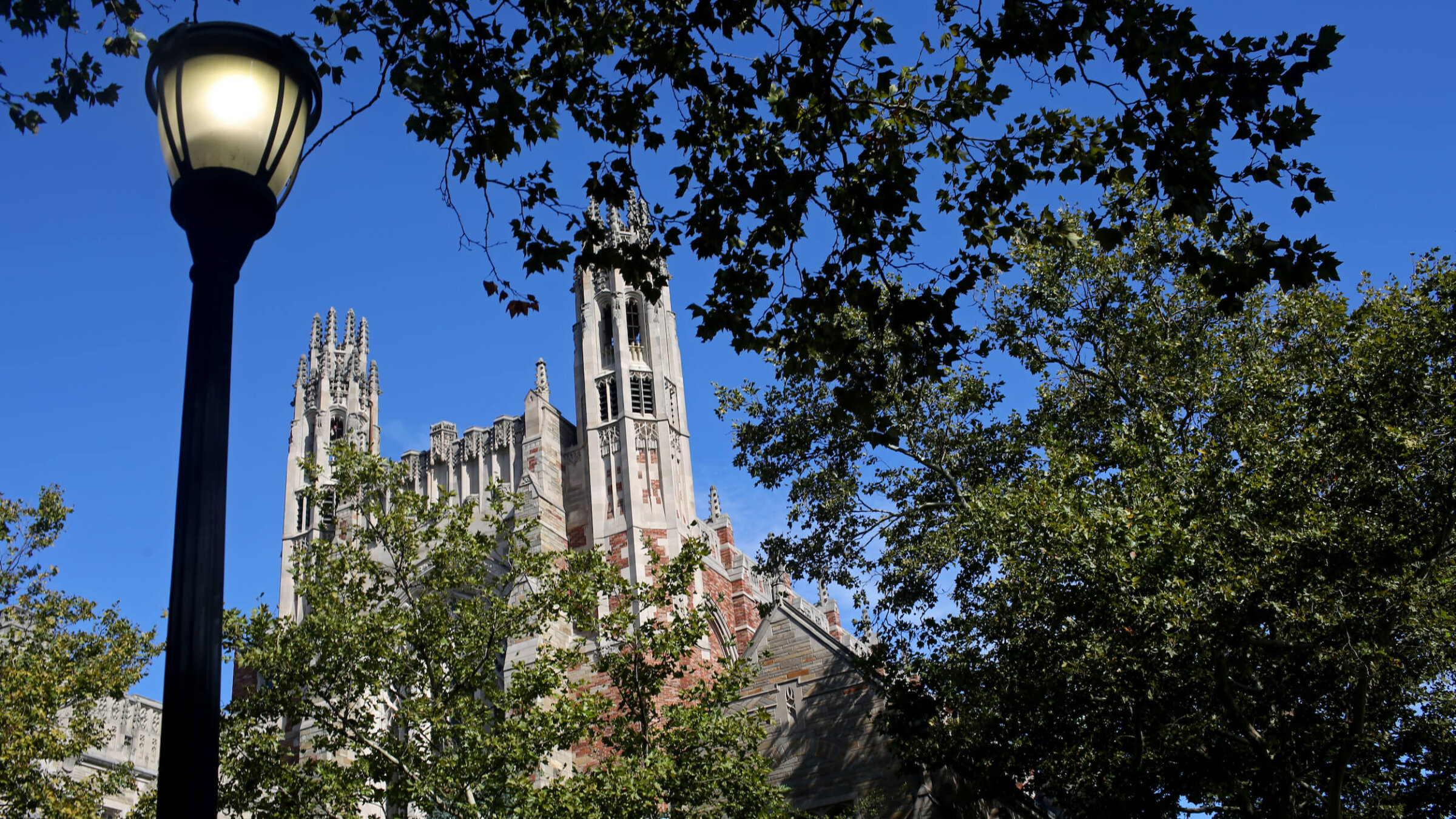 Yale University Employees, Location, Alumni