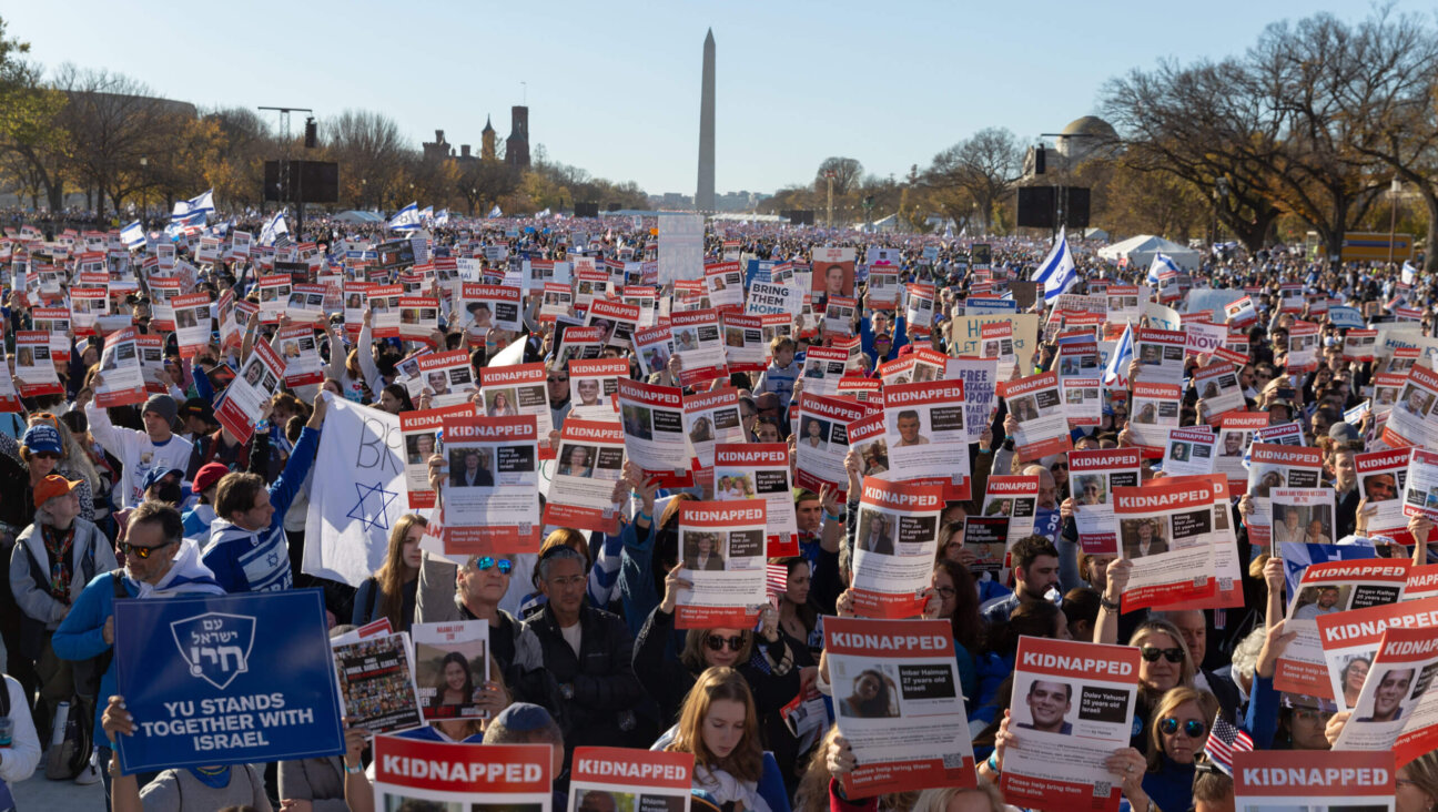 The crowd at the March For Israel on the National Mall in Washington, D.C., on Nov. 14.