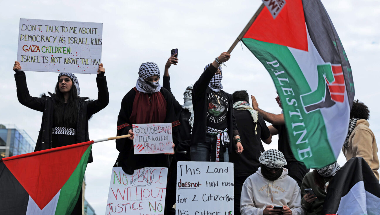 Protesters gather at the Freedom Plaza during the National March on Washington for Palestine while calling for a ceasefire between Israel and Hamas on November 4, 2023 in Washington, DC. 