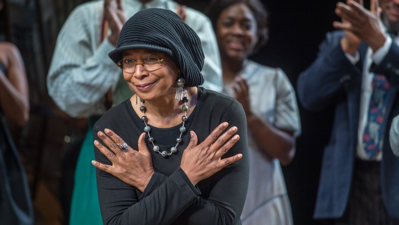 “The Color Purple” author Alice Walker attends the “The Color Purple” Broadway revival’s Opening Night at The Bernard B. Jacobs Theatre on December 10, 2015 in New York City. (Mark Sagliocco/Getty Images)