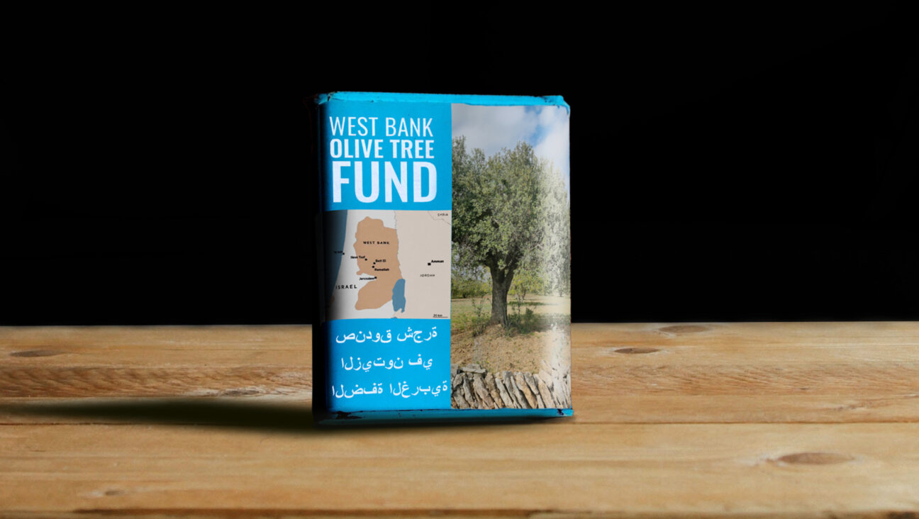 A 'Pushke for Palestinians' could help American Jews repair the damage Israeli settlers have caused to West Bank olive farmers.