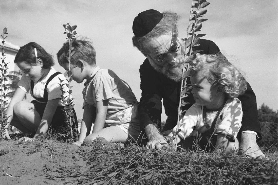 קינדער פֿאַרפֿלאַנצן ביימעלעך אין ארץ־ישׂראל, חמישה־עשׂר בשבֿט, 1945.